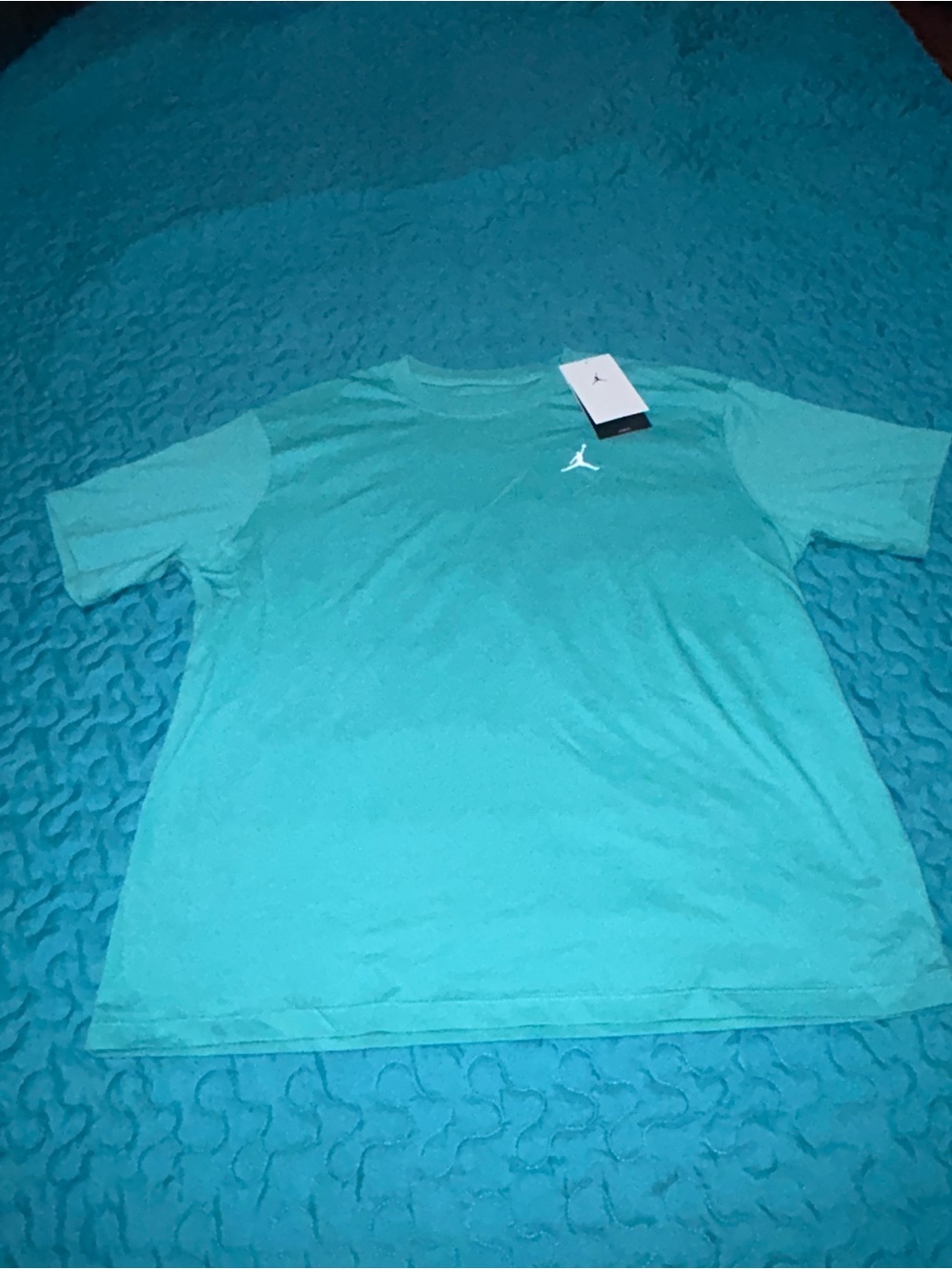 Jordan Teal Crew Neck Short Sleeve Tee